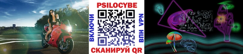 где продают   Чишмы  Галлюциногенные грибы Psilocybine cubensis 